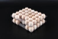 Plateau d'oeufs en plastique personnalisé Carton d'oeufs de caille de poulet Fabricant d'usine offrant le logo ODM/OEM avec des matériaux recyclés