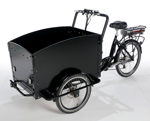 Triciclo Eléctrico de Carga con 4 Cinturones de Seguridad para Bebés, Nuevo Triciclo de Tres Ruedas para Adultos, Triciclo de Carga Moderno y de Ocio - Product Image 1