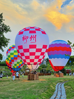 Ballon publicitaire gonflable personnalisé / Ballon à air chaud gonflable / Ballon gonflable sur mesure pour la publicité extérieure