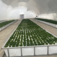 Membrane gonflable à air structurelle gonflable serre agricole structure à membrane pneumatique dôme gonflable à air