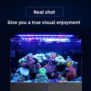 Groothandelsprijs Nieuwe Reefer G3 + Professionele SPS LPS Visbak Zeewaterbak Koraalrifrots <span class=keywords><strong>Aquarium</strong></span> - Product Image 4