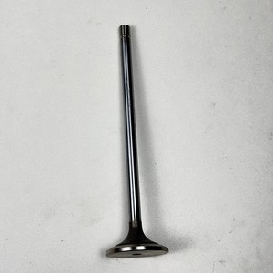 Nueva Válvula de Admisión R520224 para Tractores 7270R 8335R 8295R 8270R 8245R 8235R de Alta Calidad - Product Image 6