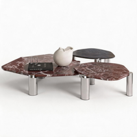 Table basse moderne à plateau en marbre de forme irrégulière et base en acier inoxydable, style minimaliste pour salon et appartement, meuble haut