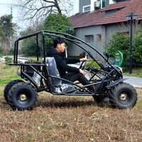 Kart électrique pour adultes, double place, buggy de plage, 4x4, moto tout-terrain, véhicule de location pour sites événementiels, 1500W, 40km/h