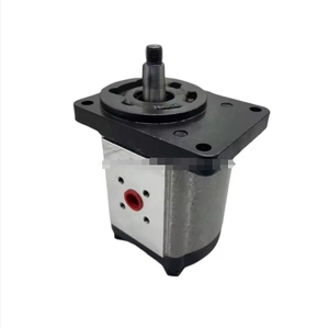เปลี่ยนปั๊มไฮดรอลิก Casappa รุ่น PLM PLP PLP30 PLP20 PLP10 PLM20 แบบเกียร์น้ำมัน PLP20.4-82E2-LGD/GD/20.4-LGD/GD-DO-N-EL - Product Image 1