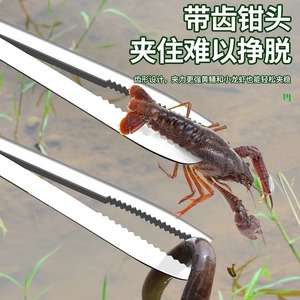 Baolian Stainless Steel Eel Catcher Clips With Triple Tooth Grip For Freshwater Fishing - Product Image 2