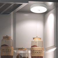 Lumière LED USB magnétique pour tiroir, nouvelle conception, détecteur de mouvement, fonctionne sur piles, rechargeable