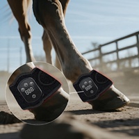 Bottes de thérapie par lumière rouge pour tendons de sabot de cheval, avec batterie rechargeable intégrée, 660nm/850nm, étanches, couleur unie, légères