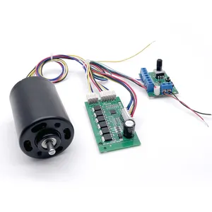 Long Life Bldc Motor Brushless 12v 24v High Speed Motors With PWM Control For Sex Toys