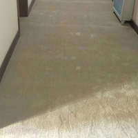 Tapis mural moderne et simple, épaisseur 15 mm, couleur unie, pour salon, chambre, salle VIP, salon de beauté, hôtel