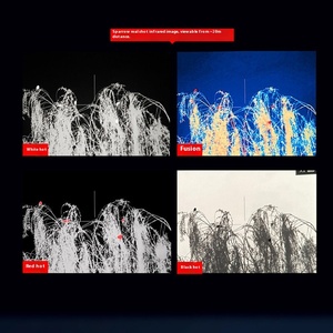 Monocular de Visión Nocturna Infrarroja Multifuncional de Alta Definición Lesi 384x288 con Lente de 35.5mm 1x-4x - Product Image 3