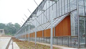 Serre en verre Venlo moderne prix bon marché de concombres de tomates végétales belle et robuste, avec une résistance élevée au vent. - Product Image 5