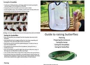 Cage de habitat pour insectes et papillons, terrarium pop-up portable de forme carrée en plastique pour le contrôle des coléoptères, plus facile à nettoyer - Product Image 6