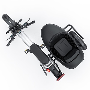 COSWHEEL-Tricycle électrique CT20S, avec assistance à la pédale à trois roues, 2000W - Product Image 2
