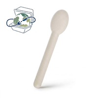 Cuillère à glace en bagasse personnalisée, compostable, couleur naturelle, non blanchie, biodégradable, jetable, couverts écologiques