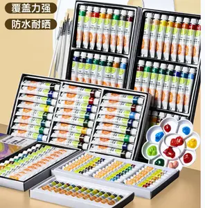 Professional Acrylic Paint Set 12 Color Variety For Art Painting On Canvas Paper Glass