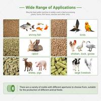 Machine à granulés d'aliments pour animaux de ferme (chèvres, porcs, volailles) pour le Kenya – Idéale pour l'alimentation des porcs