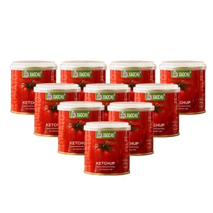 Bulk canned tomato paste Brix 28%-30% ketchup tomato paste sachet