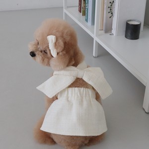 Nuovo Abbigliamento Trendy per Animali Domestici, Vestiti Primaverili alla Moda per Cuccioli, Stile con Fiocco, Abito Morbido in Cotone per Cani e Gatti - Product Image 4
