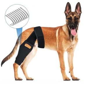 Rodillera ortopédica OEM <span class=keywords><strong>para</strong></span> perro <span class=keywords><strong>para</strong></span> ACL, rodillera <span class=keywords><strong>para</strong></span> mascotas, barra de Metal, Protector de soporte, manga de recuperación de <span class=keywords><strong>piernas</strong></span>, reduce el dolor articular - Product Image 2