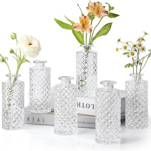 Fleurs hydroponiques de style moderne plante verte décoration de table de mariage de petite taille <span class=keywords><strong>vase</strong></span> en verre transparent simple - Product Image 2