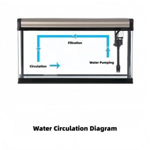 Small Rectangular Hot Curved Glass Desktop Fish Tank Integrated Molding Home <strong>Aquarium</strong> Factory Direct - Product Image 5