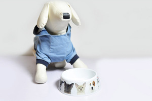 OT lanales lank lanublimation olyolymer et Owl at Bowl og Owl - Product Image 4