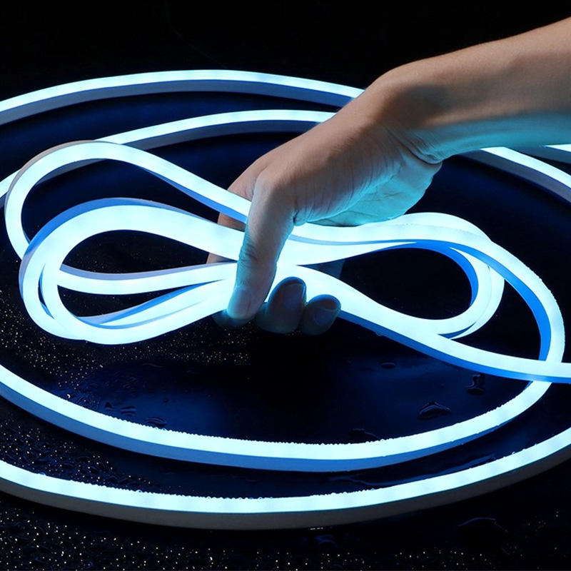 OEM ODM High Quality Single Color Neon Led Strip Light Waterproof 12V 24V 5m/10m