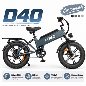 Vélo cargo électrique D40 750W 48V 40Ah, vélo électrique pliable avec cadre en alliage d'aluminium, roues de 20 pouces, frein à disque, logo personnalisable - Product Image 1