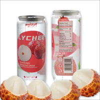 Elisha Eau gazeuse aromatisée au litchi 350 ml, 24 canettes/carton, boisson douce et sucrée pour adultes et enfants, idéale pour les fêtes estivales