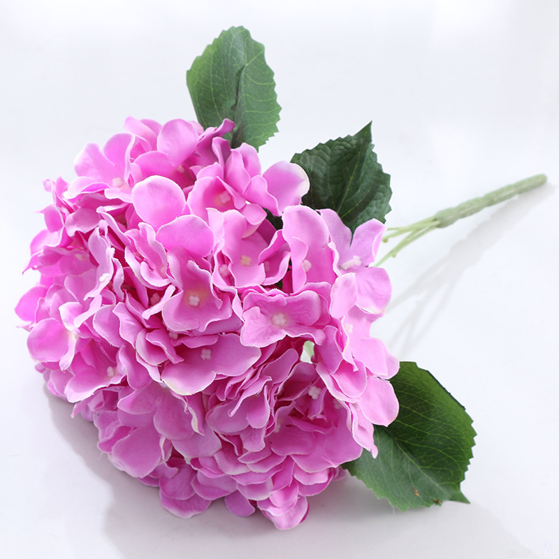 pink 12