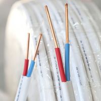 Flaches PVC-isoliertes Kupferkabel BVVB Feuerfestes Innen- und Wohngebäude-Verkabelungskabel CE-Zertifiziert