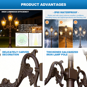 <strong>High</strong> Quality IP65 Waterproof Luxury Cast Aluminum LED Street Lamp 10W 15W 20W <strong>High</strong> Brightness Outdoor Garden <strong>Lights</strong> - Product Image 2