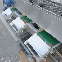 Automatische Fruitgroenteverwerkingsmachine Voor Sorteermachines Voor Het Sorteren Van Kersenformaat Sorteermachine