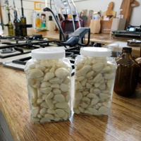 Ail frais congelé pelé blanc IQF d'usine 1 kg Prix de gros Qualité d'exportation Gousses d'ail chinois