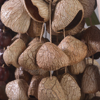 Music Healing Instruments South African Natural Plant Shell Nut Wind Chimes African Drum Accompaniment Hand Chimes