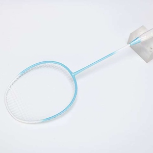 户外初学者铁合金进攻型羽毛球拍套装专业一拍耐用轻便高刚性2件套室内 - Product Image 3