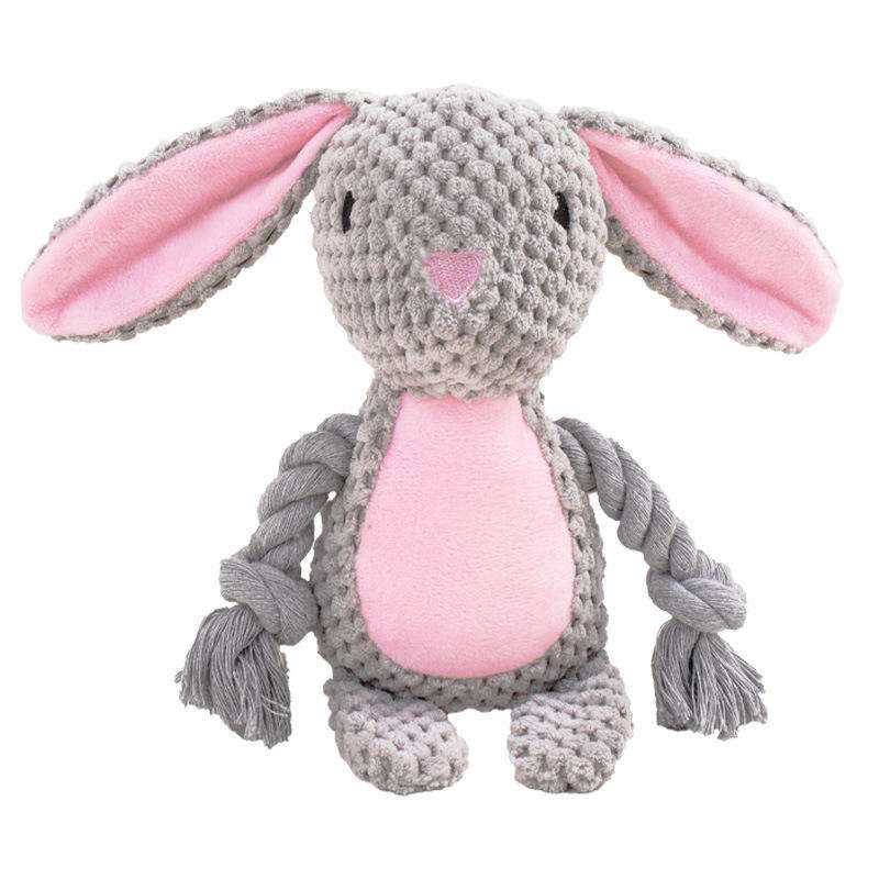 Lapin gris