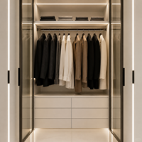 Système de dressing sur mesure avec porte vitrée, éclairage LED, miroir de courtoisie et rangement pour la maison