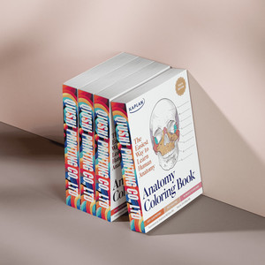 Livre de coloriage d'<span class=keywords><strong>anatomie</strong></span>, 10e édition, impression personnalisée, couverture souple, manuel médical, reliure parfaite, impression de <span class=keywords><strong>livres</strong></span> - Product Image 4