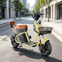 Vente directe d'usine. Moteur de vélo électrique haute vitesse 48V 800W. Capteur numérique. Vélo à pédales à batterie au plomb. Mini vélo électrique urbain pour femmes