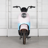 Moto électrique haute endurance pour adultes, intelligent, longue distance, roi de la course, tension 48v