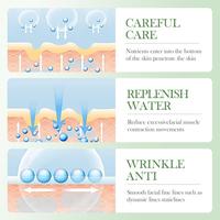 OEM BIOAQUA Vente en gros de produits de soin de la peau à base de plantes Centella, ensemble de six pièces, apaisant, lissant, blanchissant, hydratant