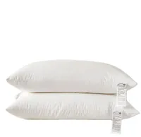 Usine directe 5 étoiles Collection d'hôtel Hilton de luxe rembourré de duvet d'oie en microfibre pour dormir Oreiller blanc Hôtel Hilton