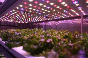 Invernadero agrícola Hidroponía Granja Sistema de <span class=keywords><strong>cultivo</strong></span> Gabinete Inteligente <span class=keywords><strong>Interior</strong></span> Vertical Grow Container - Product Image 4