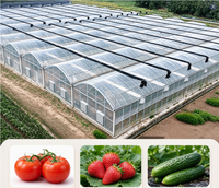 Kit complet de serre à succès avec tour de culture hydroponique pour légumes d'intérieur