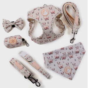 Leggero One Step in <span class=keywords><strong>Dog</strong></span> imbracatura guinzaglio produttore di Okeypets personalizzato regolabile in rete traspirante Pet fascia toracica - Product Image 1