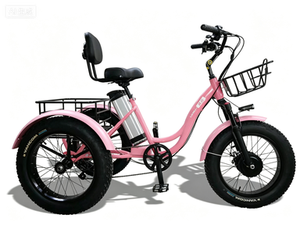 Convenient Travel Electric Tricycle Light Body Ride And <b>Transport</b> Trike - Product Image 3