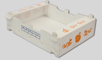 Caisse à fruits pliable en plastique ondulé PP imprimée, étanche et réutilisable, pour le stockage des légumes en agriculture