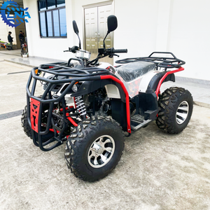 Véhicule tout-terrain <span class=keywords><strong>quad</strong></span> LNA certifié CE 200cc, conçu pour une utilisation quotidienne et pour la course sportive - Product Image 3